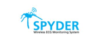 spyder